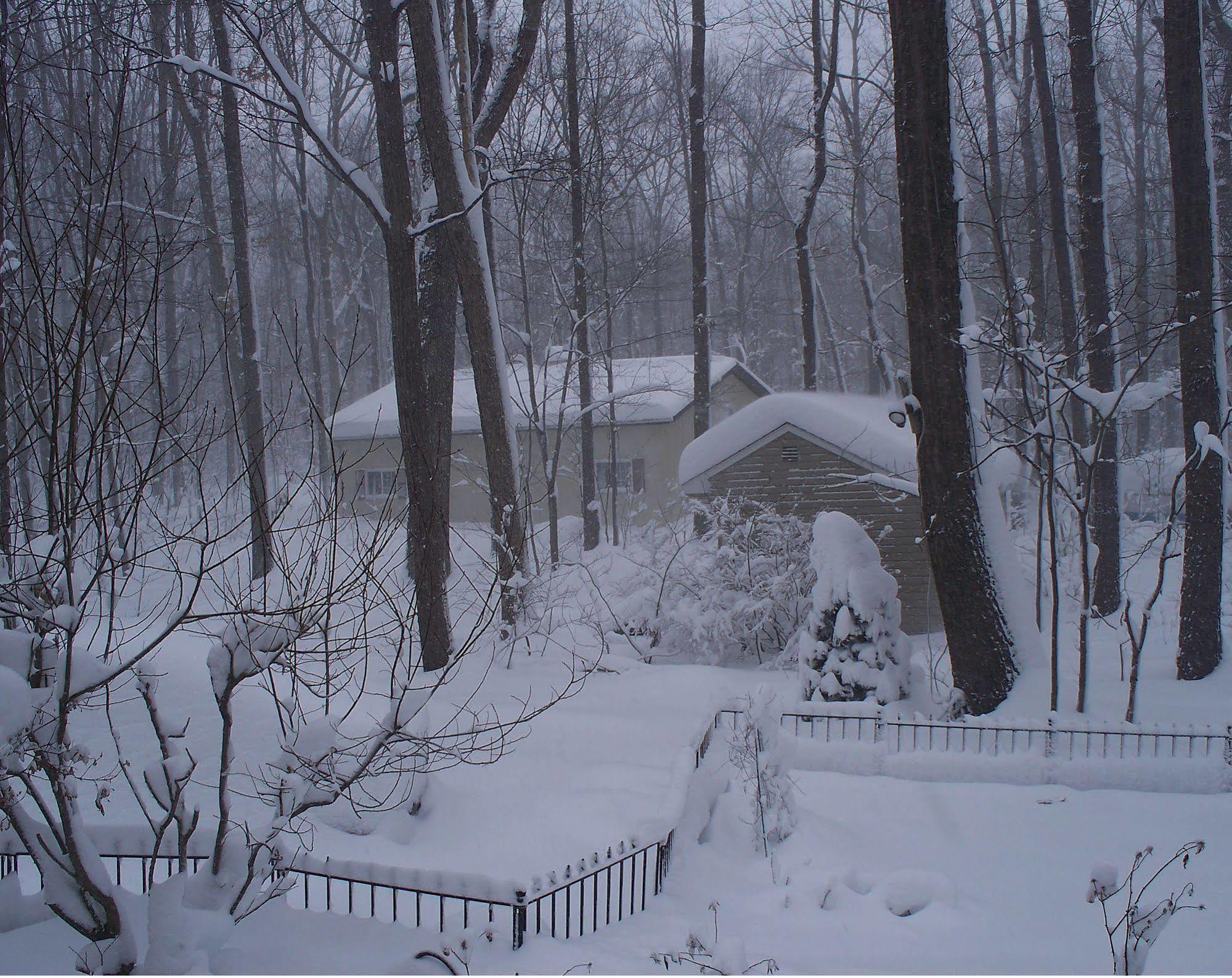 Bear House Bed And Breakfast Dover Esterno foto
